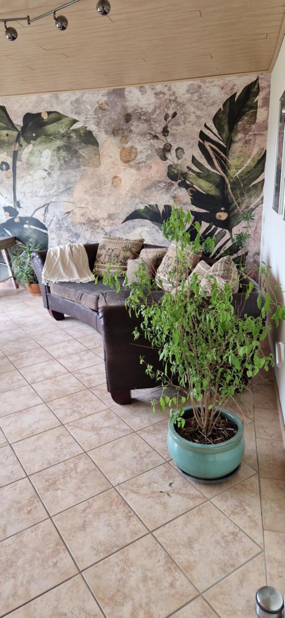 דירות רינטלן Gerburg Haus מראה חיצוני תמונה